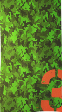 CAMO-03