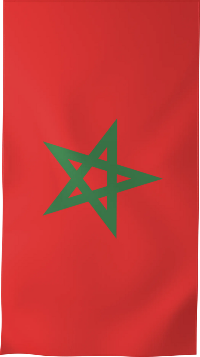 MAR — FLAGS beach towel, L
