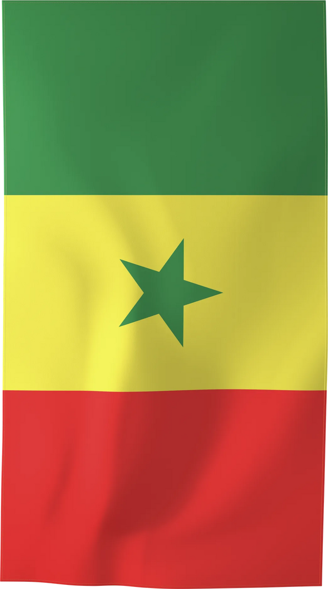 SEN — FLAGS beach towel, L