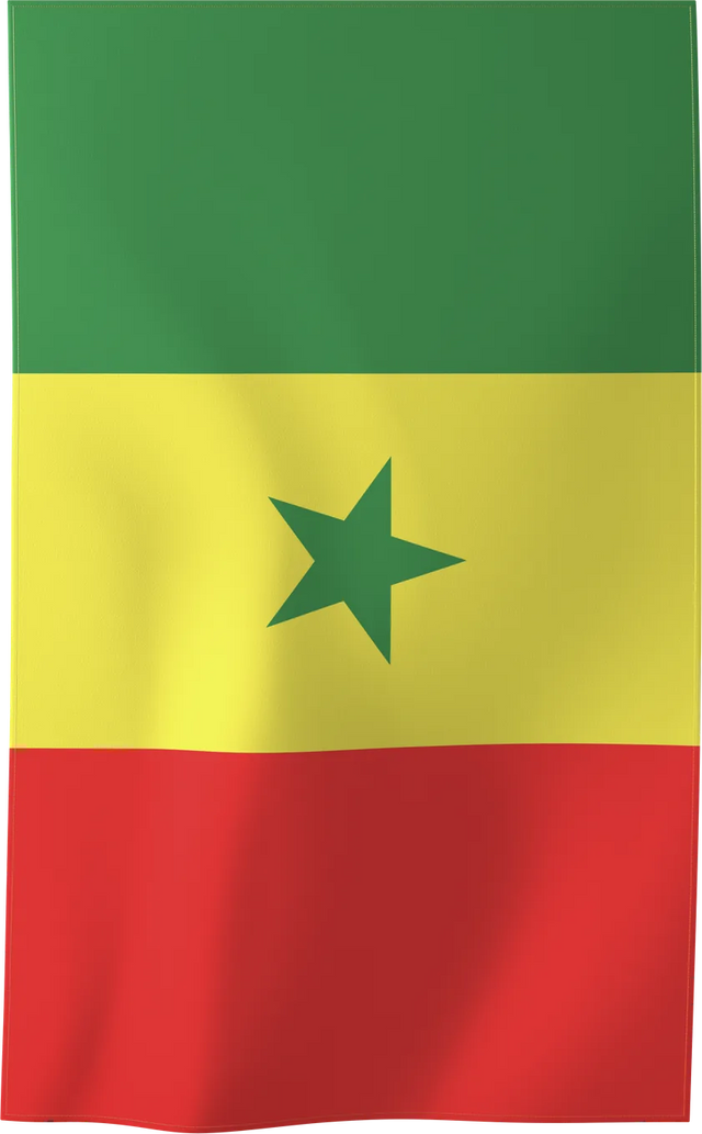 SEN — FLAGS beach towel, M