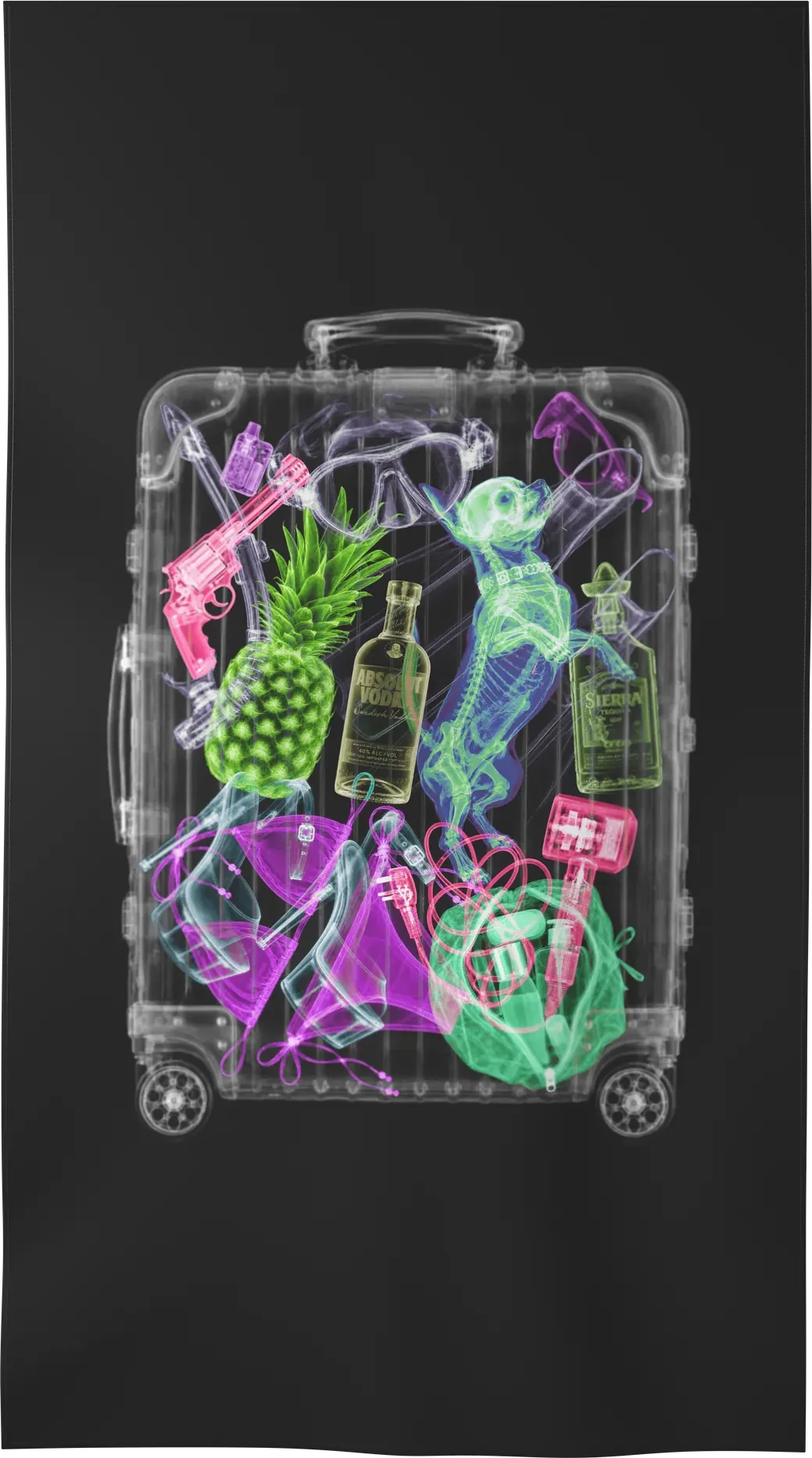 XRAY-03 L recto