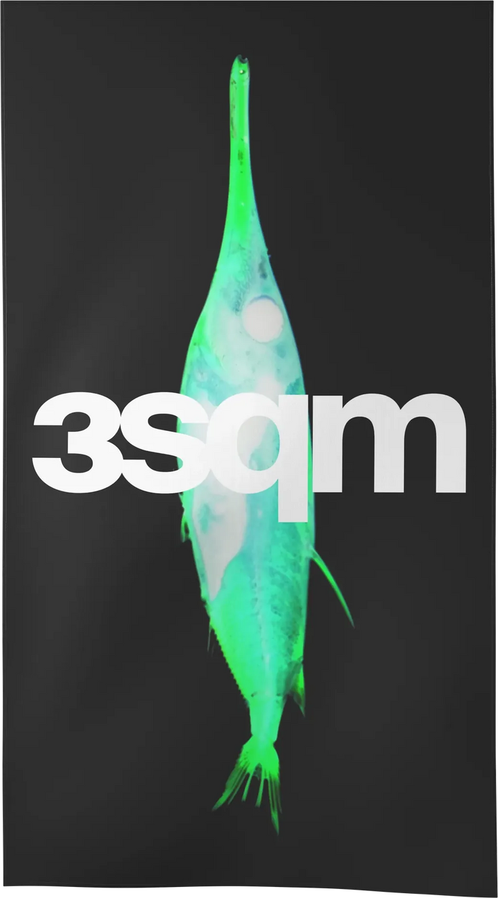 XRAY-04 — X-RAY beach towel, L