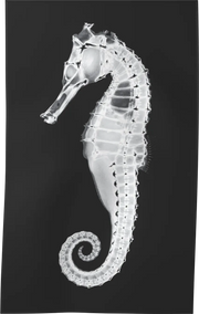 XRAY-05 beach towel